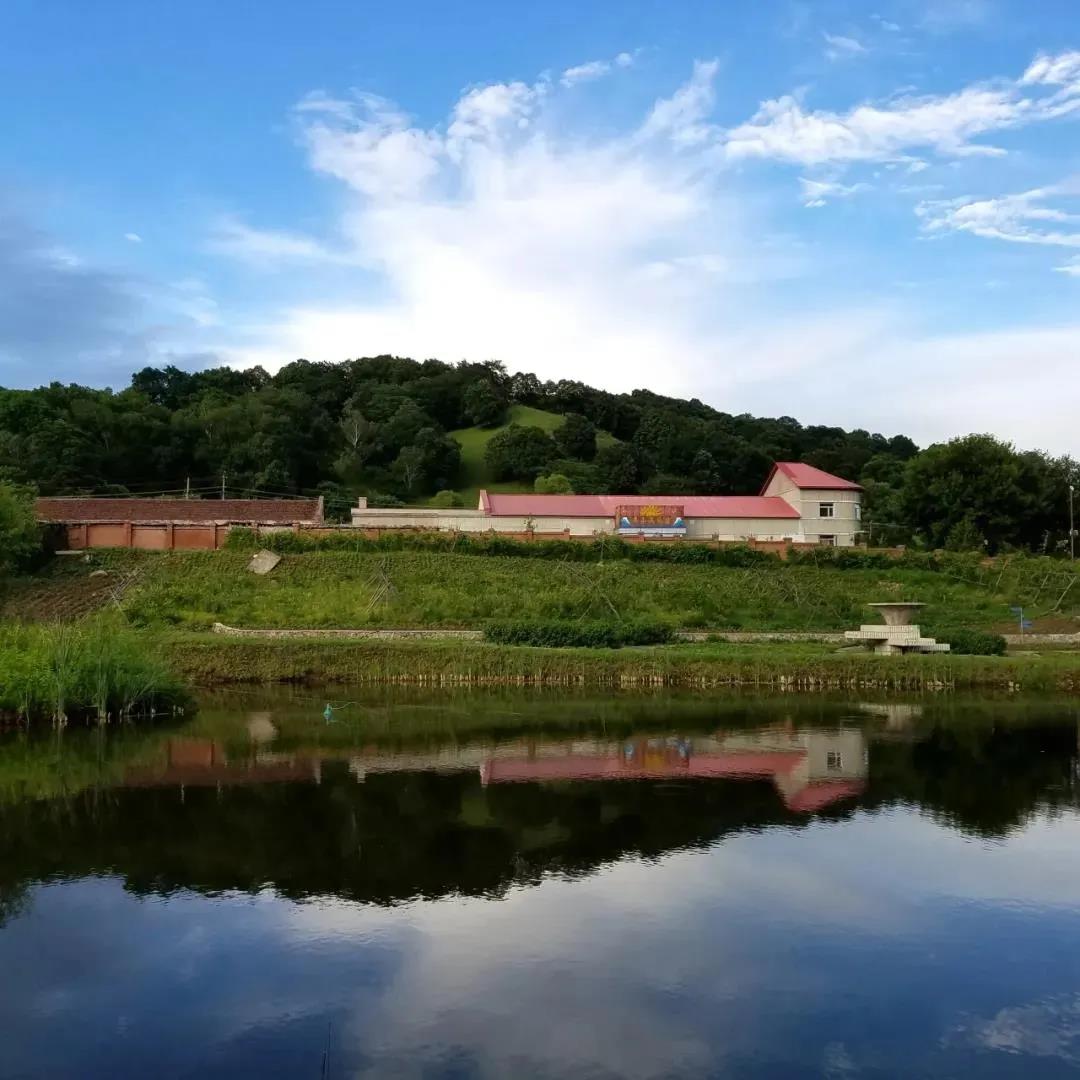 伟德体育 - 综合体育赛事平台|奥体中心相助同伴