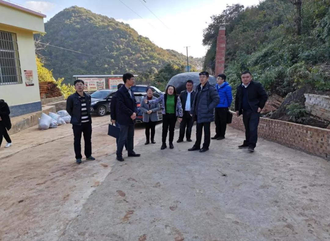 伟德体育 - 综合体育赛事平台|奥体中心相助同伴