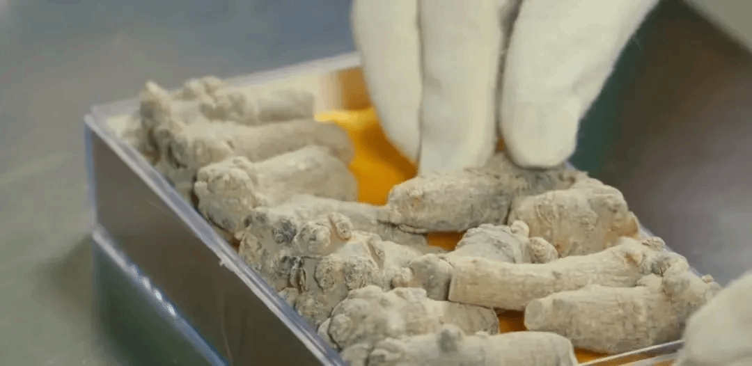 伟德体育 - 综合体育赛事平台|奥体中心相助同伴