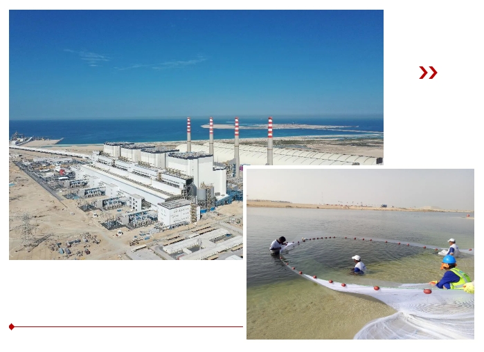 伟德体育 - 综合体育赛事平台|奥体中心相助同伴