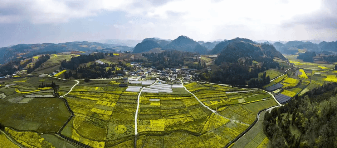 伟德体育 - 综合体育赛事平台|奥体中心相助同伴