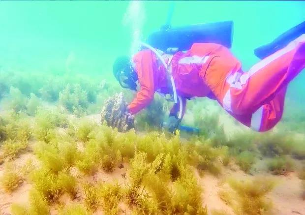 伟德体育 - 综合体育赛事平台|奥体中心相助同伴