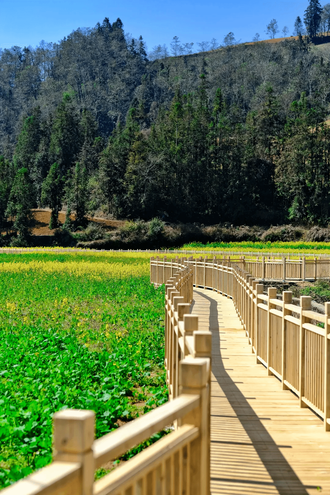 伟德体育 - 综合体育赛事平台|奥体中心相助同伴