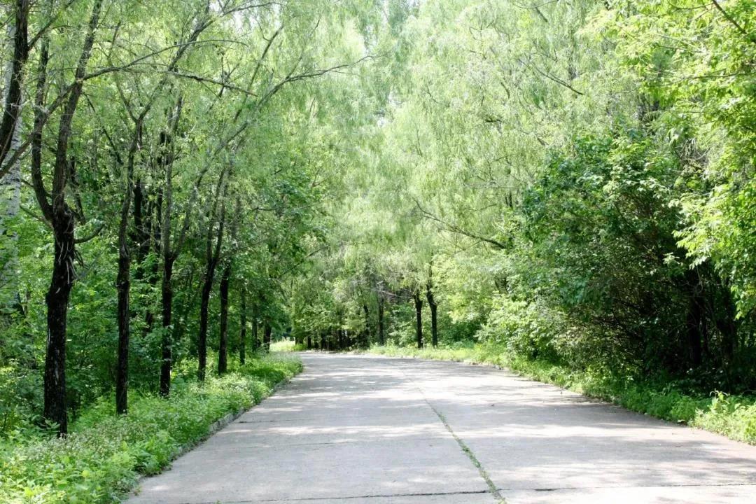 伟德体育 - 综合体育赛事平台|奥体中心相助同伴