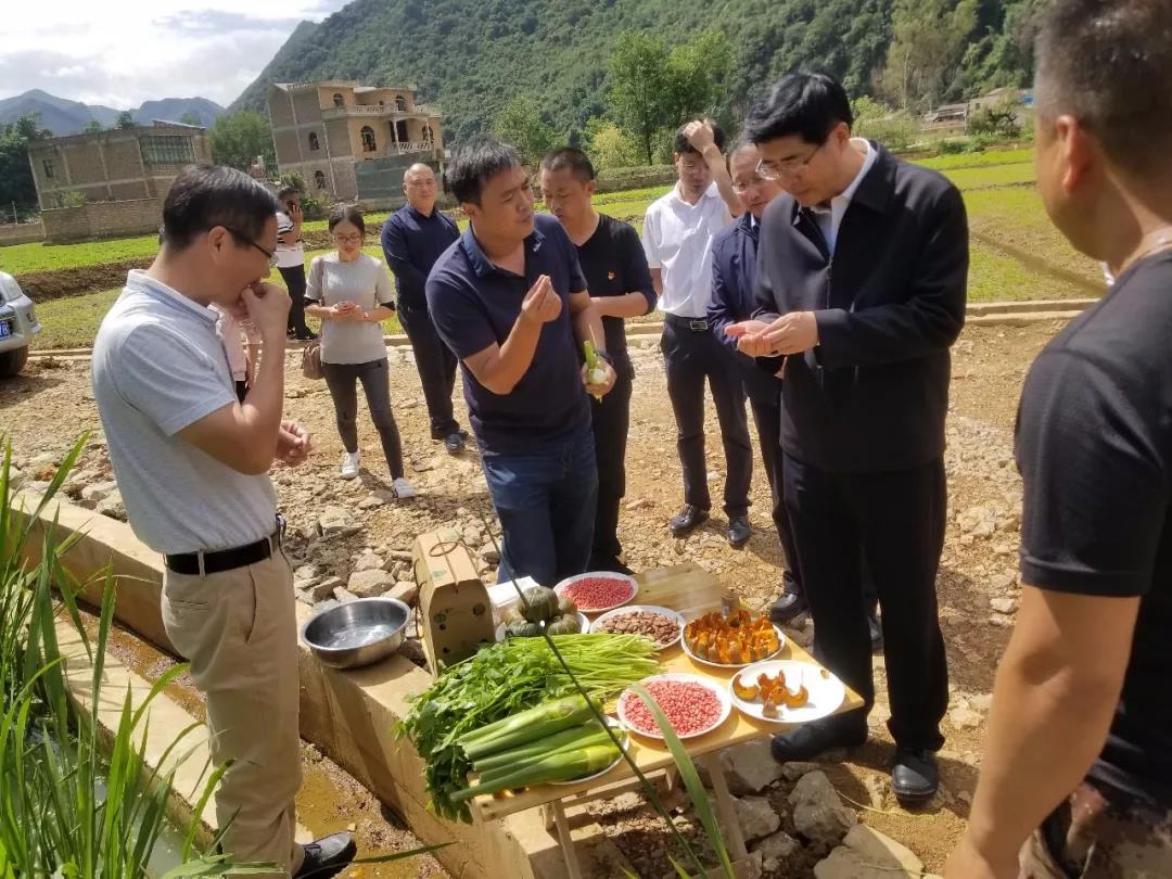 伟德体育 - 综合体育赛事平台|奥体中心相助同伴