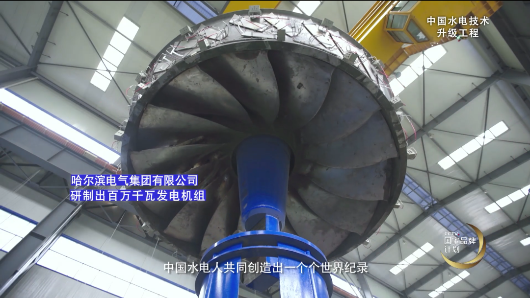 伟德体育 - 综合体育赛事平台|奥体中心相助同伴