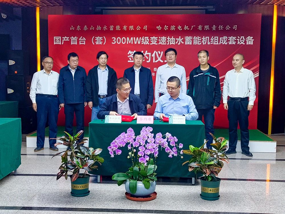 伟德体育 - 综合体育赛事平台|奥体中心相助同伴