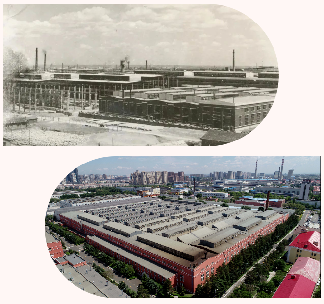 伟德体育 - 综合体育赛事平台|奥体中心相助同伴