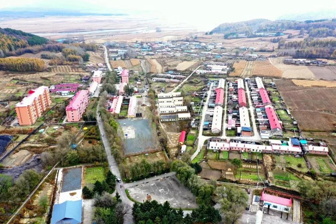 伟德体育 - 综合体育赛事平台|奥体中心相助同伴