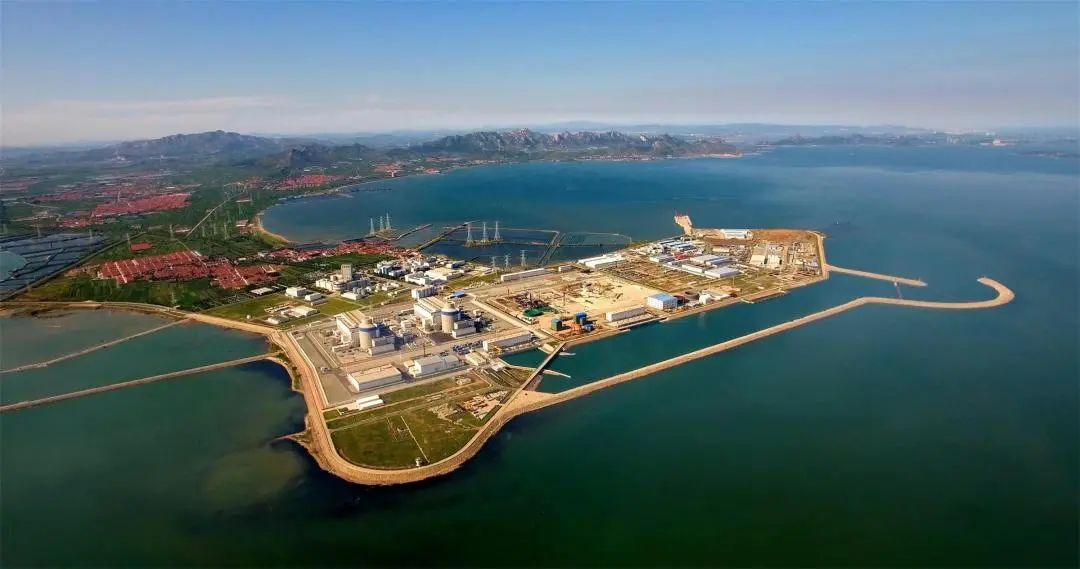 伟德体育 - 综合体育赛事平台|奥体中心相助同伴