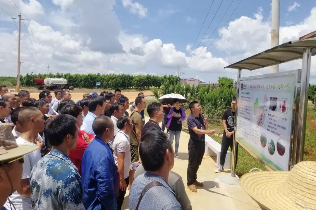 伟德体育 - 综合体育赛事平台|奥体中心相助同伴