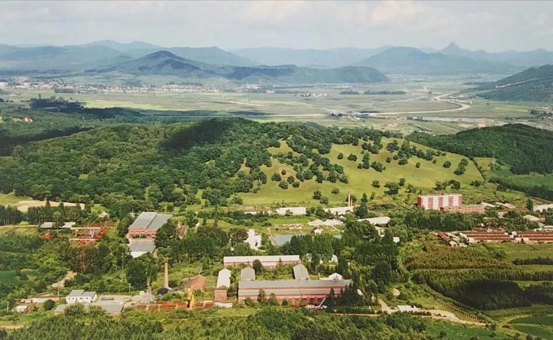 伟德体育 - 综合体育赛事平台|奥体中心相助同伴