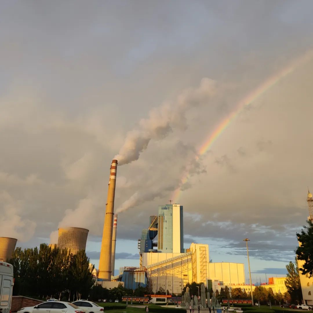 伟德体育 - 综合体育赛事平台|奥体中心相助同伴