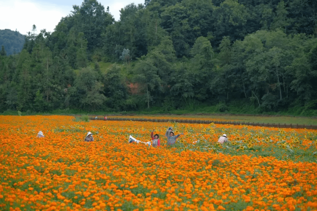 伟德体育 - 综合体育赛事平台|奥体中心相助同伴