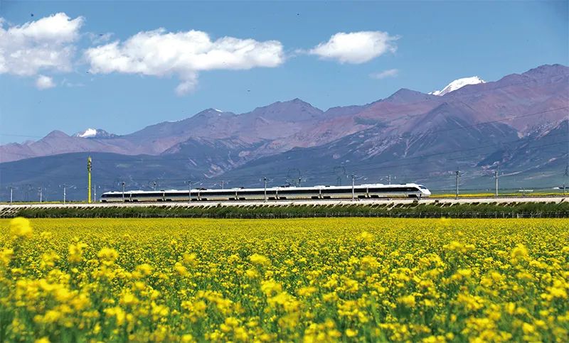 张玉卓、、、国资、、、央企、、、国资委、、、书记、、、主任、、、国企、、、企业刷新