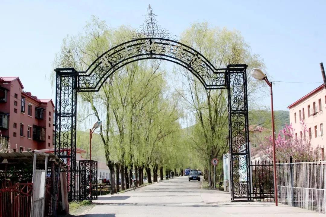 伟德体育 - 综合体育赛事平台|奥体中心相助同伴