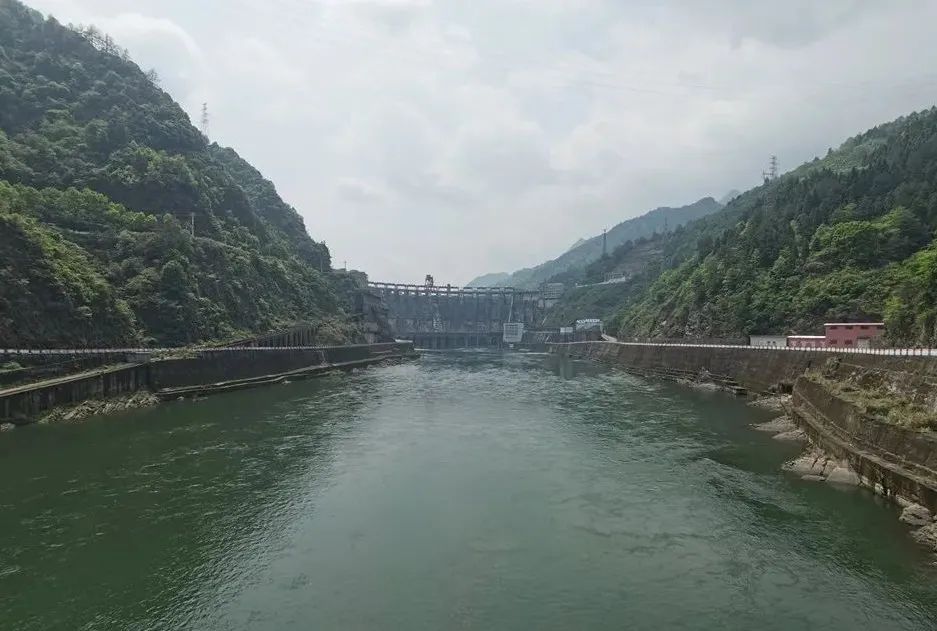 伟德体育 - 综合体育赛事平台|奥体中心相助同伴